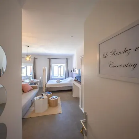 Le Rendezvous Cocooning Des Grenoblois Apartment