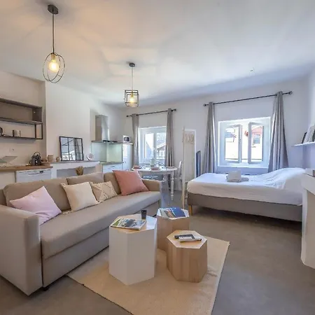 Le Rendezvous Cocooning Des Grenoblois דירה גרנובל