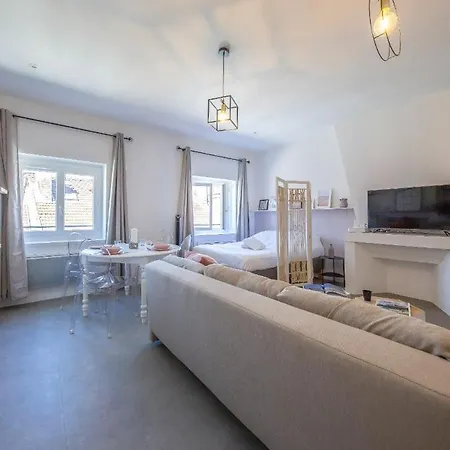 דירה Le Rendezvous Cocooning Des Grenoblois גרנובל